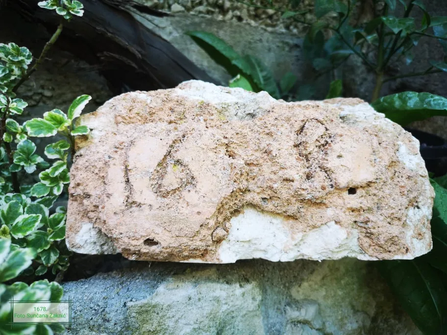 Gustirna 7