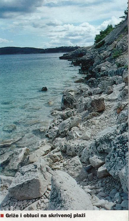 Griže