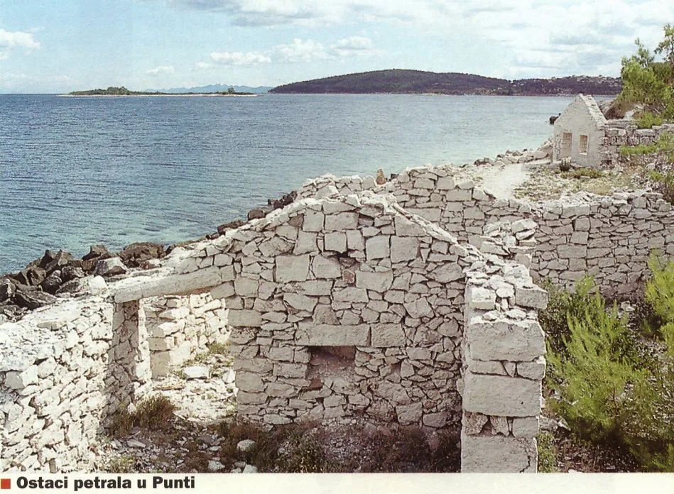 Ostaci petrala