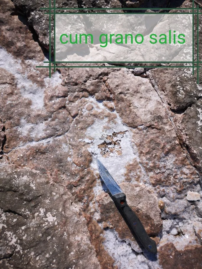 Gubavac 3