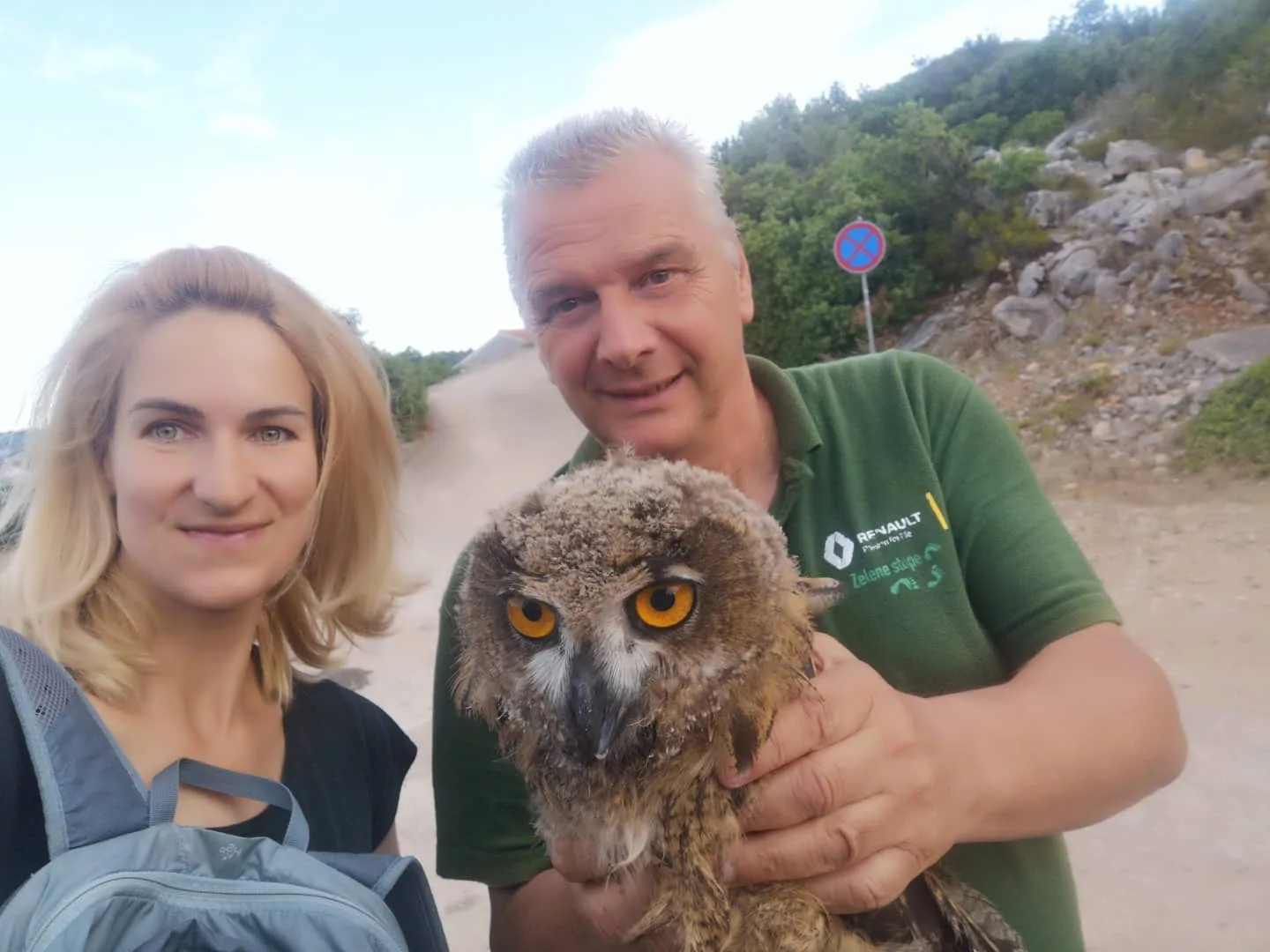 Sova na Vrniku 6