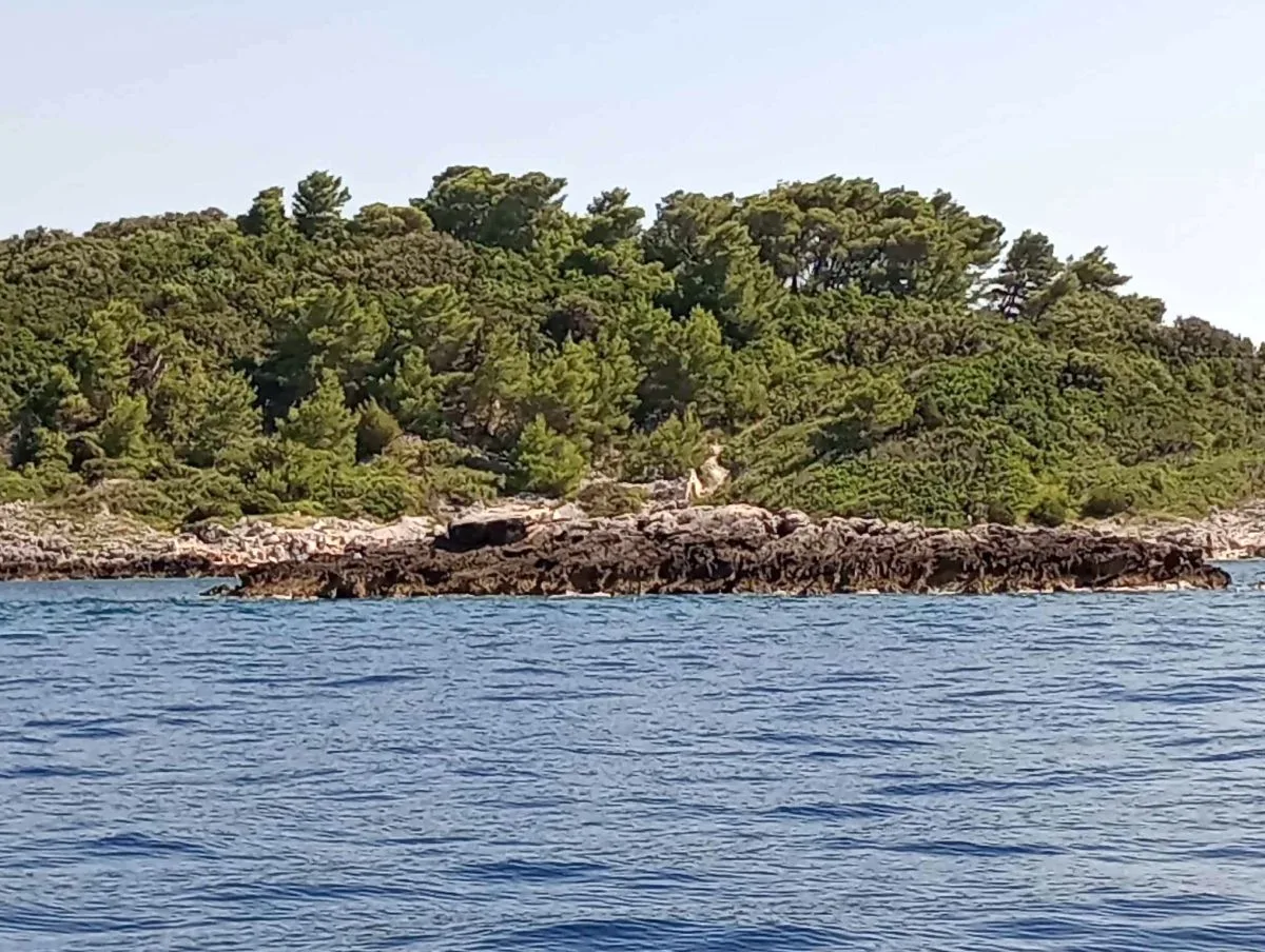 Griže Škrpinjak